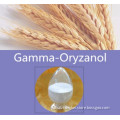 Export Japan Grade--Gamma Oryzanol /Gamma-O (powder/liquid)